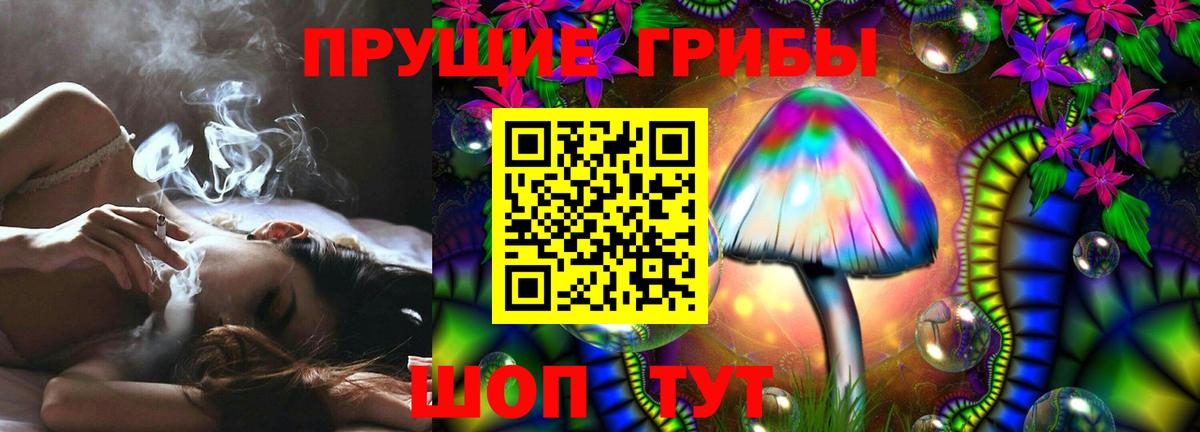 Псилоцибиновые грибы мицелий  Вход с VPN  где найти наркотики  Татарск  Псилоцибиновые грибы мицелий 